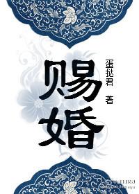 赐婚后王爷天天拒绝和离