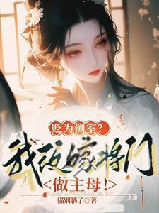 二嫁主母娇又软民国少帅夜夜洗床单