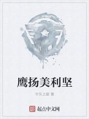 鹰扬美利坚飞行员传奇