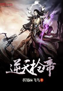 逆天枪帝